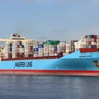 MAERSK ALGOL