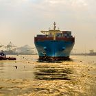 Maersk am Sclepper