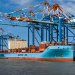 Maersk Containerschiffe am CT 4