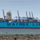 MAERSK EDMONTON/ Rotterdam