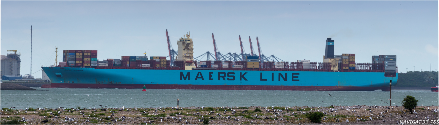 MAERSK EDMONTON/ Rotterdam