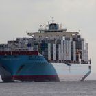 MAERSK KENSINGTON