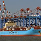 MAERSK LAVRAS