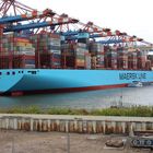 MAERSK-MC-KINNEY-MOELLER