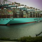 MAERSK-MC-KINNEY-MOELLER  Teil 2