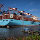 Maersk Munich in Hamburg