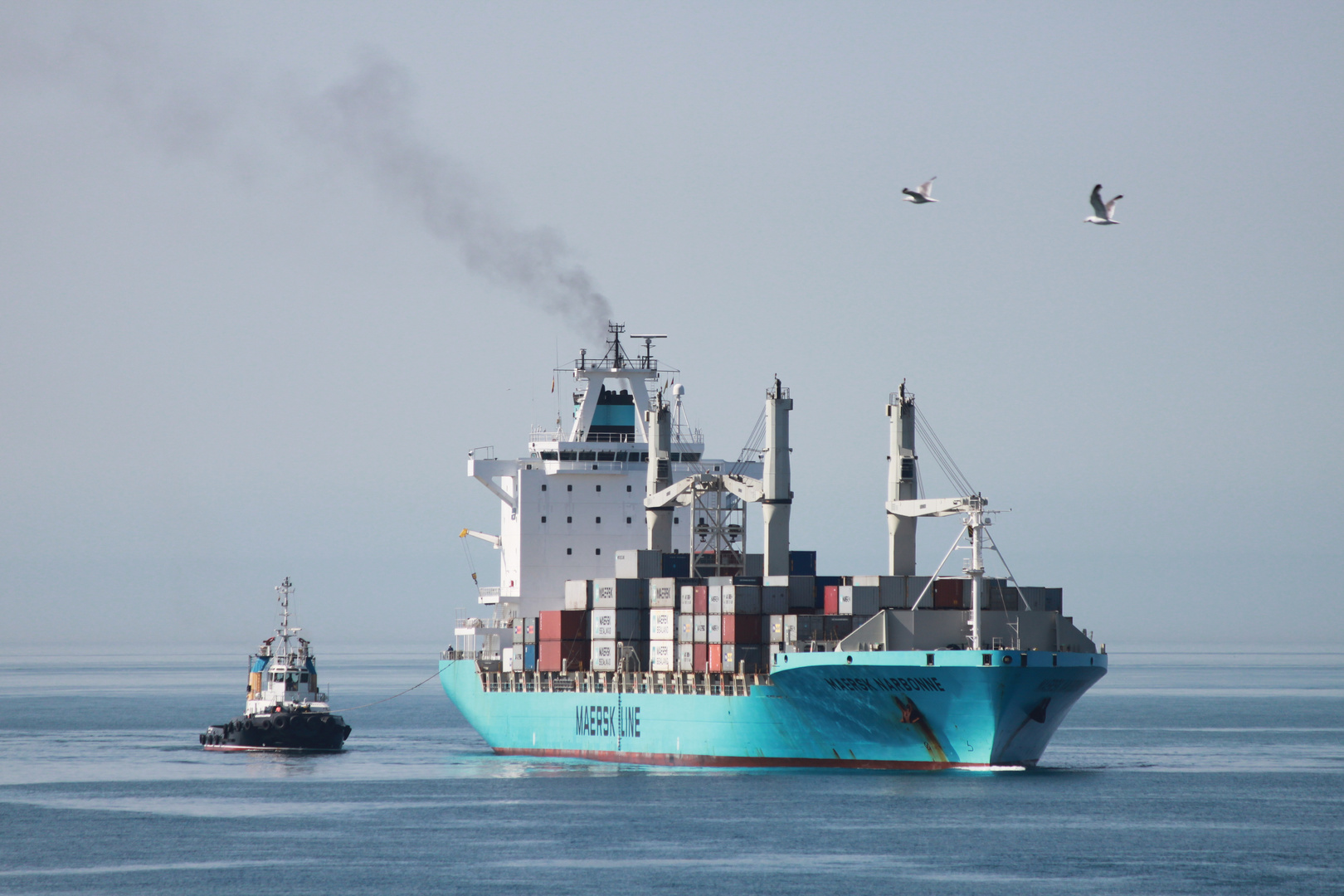 MAERSK NARBONNE