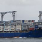 MAERSK NIENBURG / Container vessel / Rotterdam