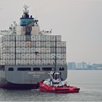 MAERSK Norwich aka LUCIE SCHULTE