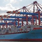 Maersk Semarang