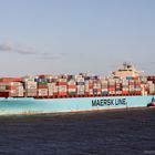 MAERSK STEPNICA