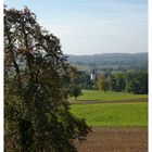 Märstetten im Herbst