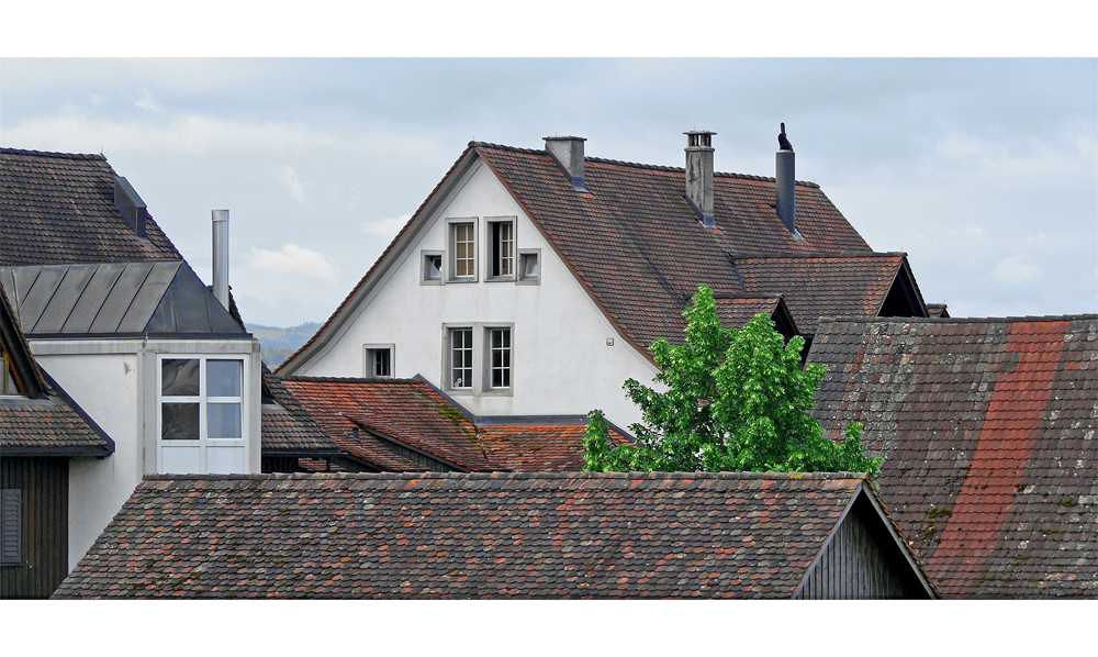 Märstetter 'Dachlandschaft'