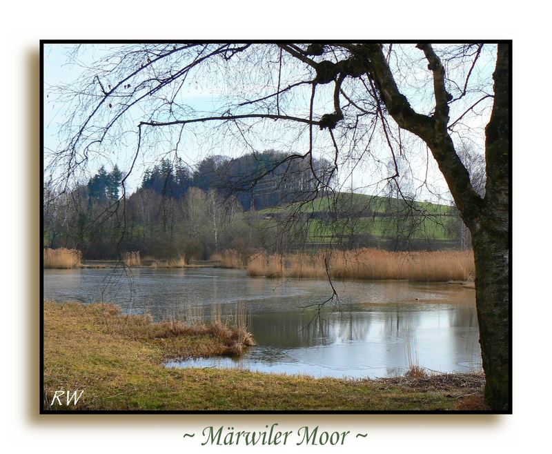 Märwiler Moor