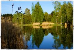 Märwilerweiher#1_170423