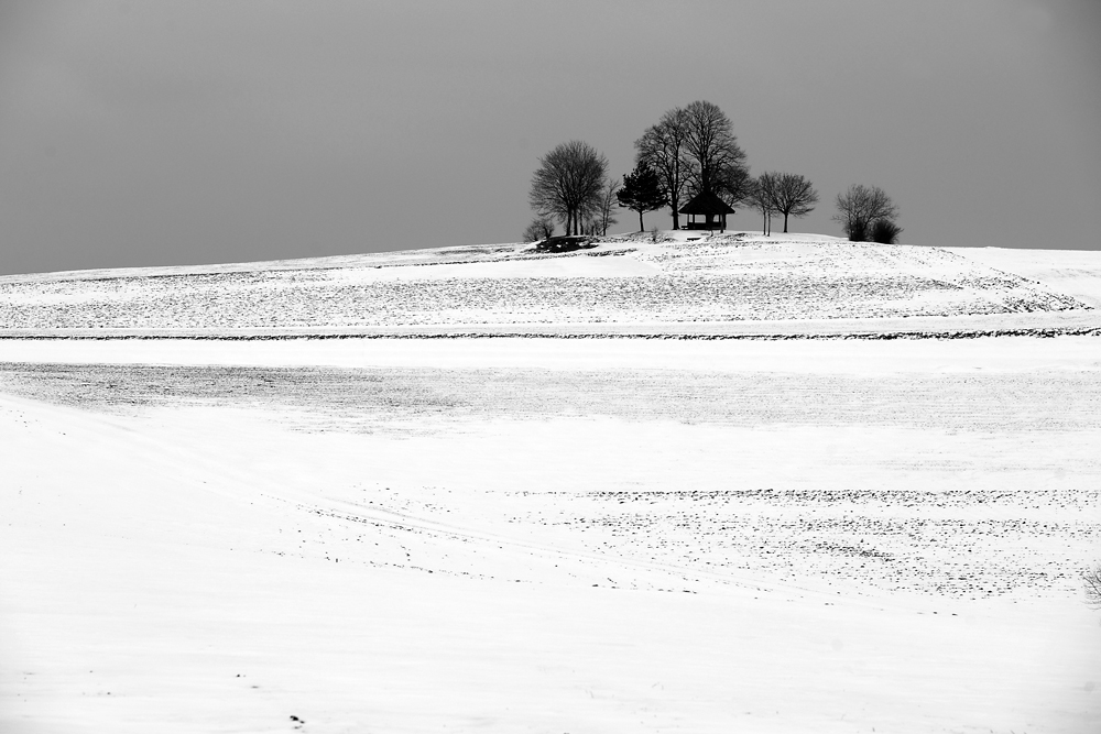 März 2010 in der Nähe von Bannholz