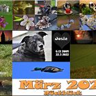 März 2022 Rückblick