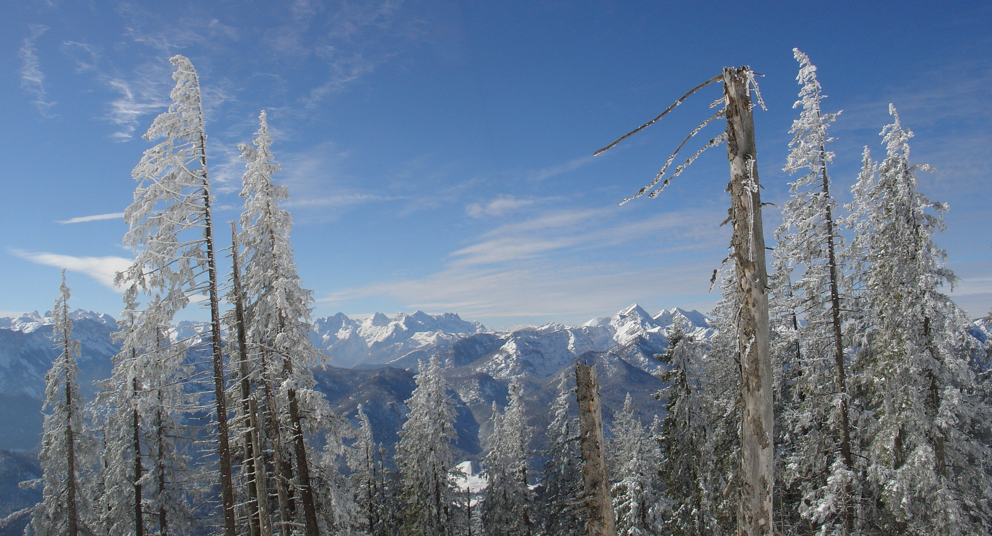 März am Gamsknogel (Chiemgauer Alpen)