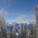 März am Gamsknogel (Chiemgauer Alpen)