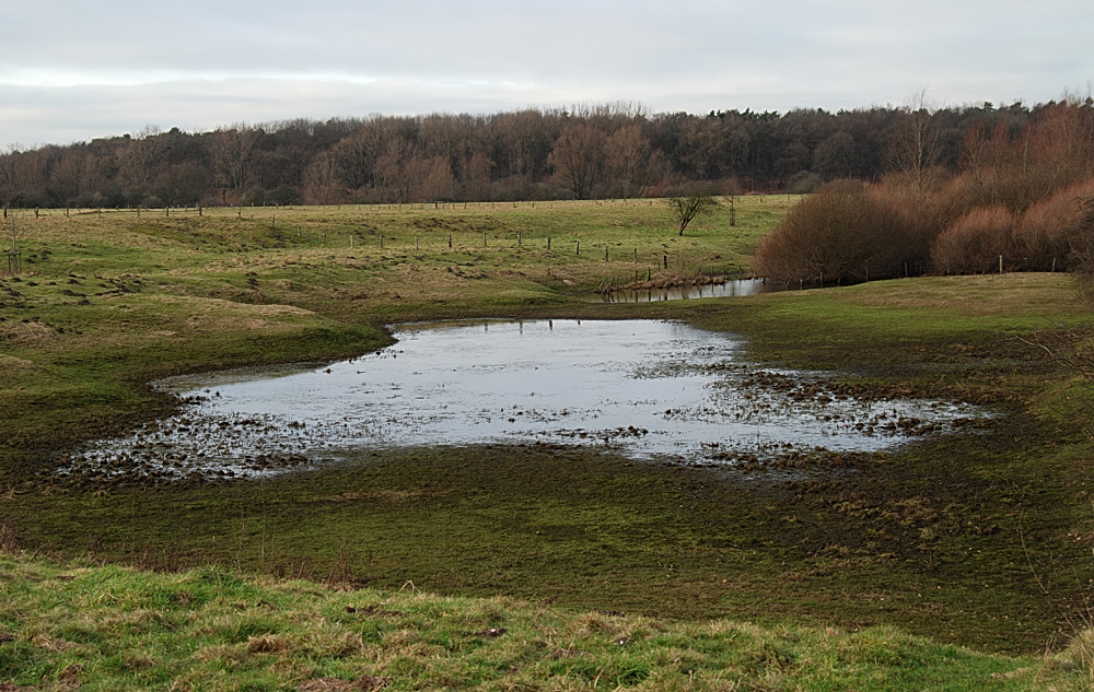 März am Niederrhein