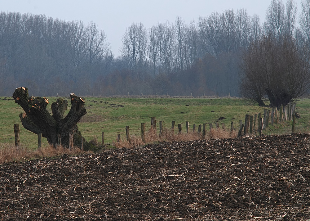 März am Niederrhein