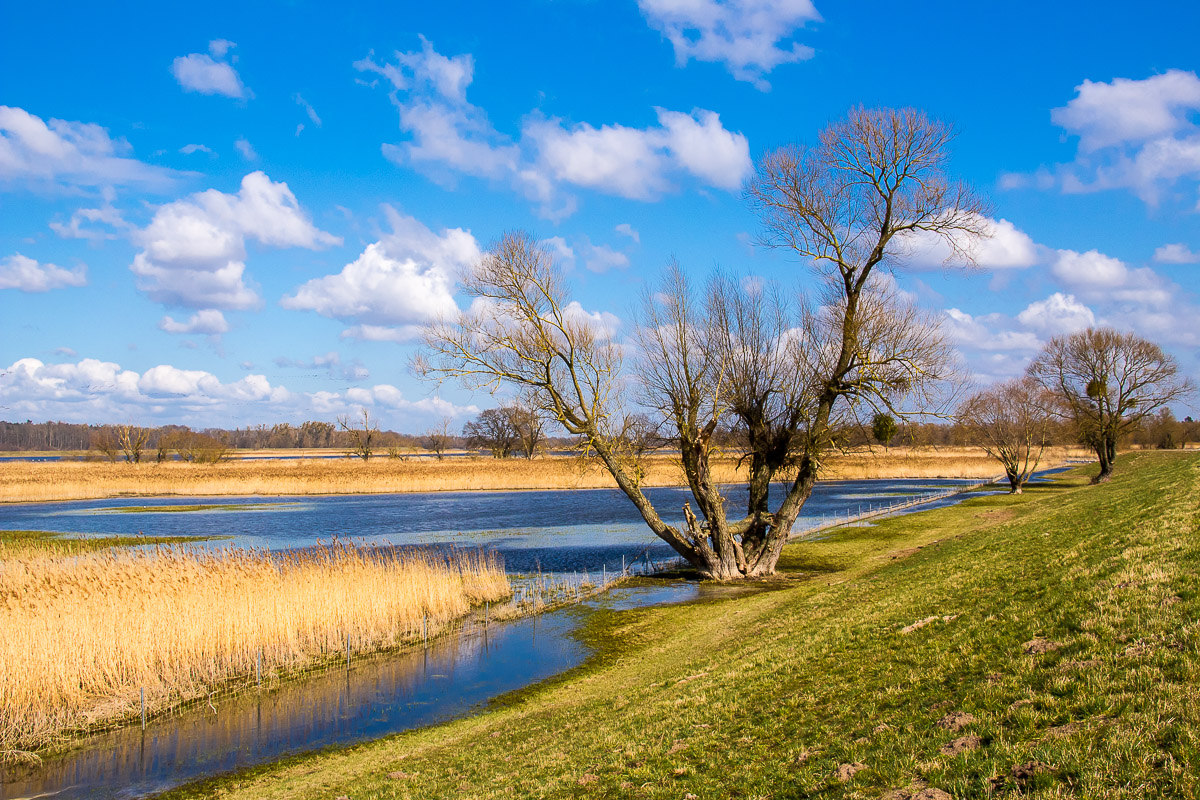 März an der Oder