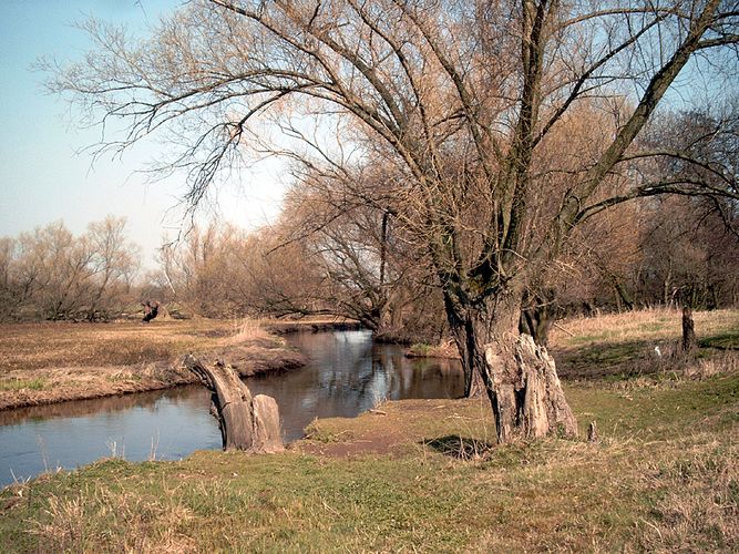 März an der Schwalm