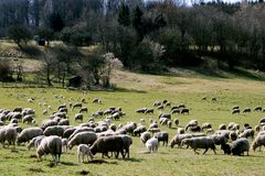 März Frieden und Stille unter dem Wittumrain