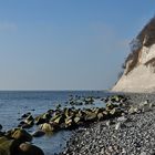 März im Nationalpark Jasmund 12