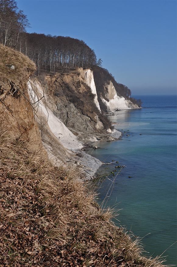 März im Nationalpark Jasmund 6