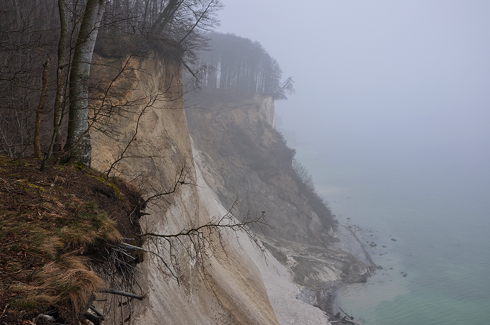 März im Nationalpark Jasmund