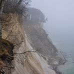 März im Nationalpark Jasmund