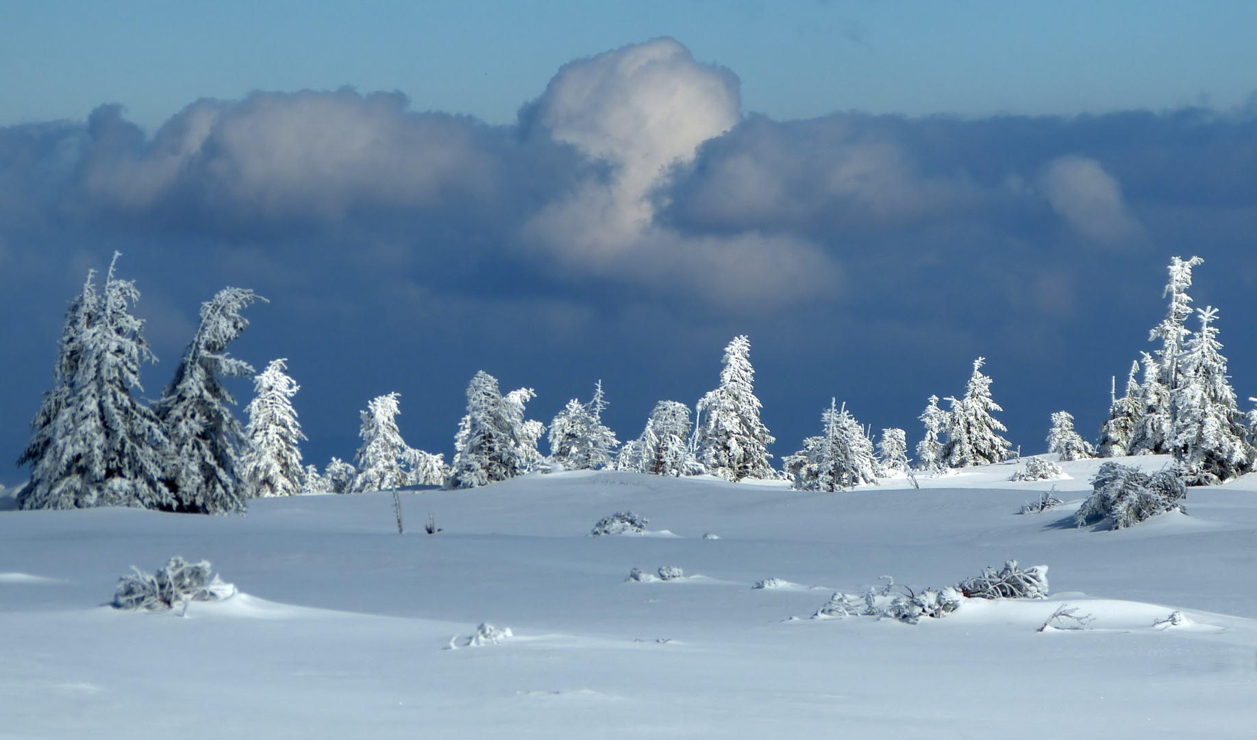 März im Riesengebirge