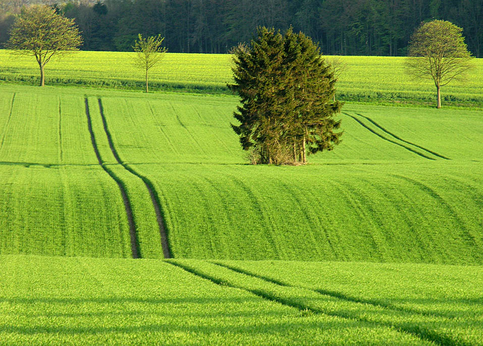 "März" im WESER BERGLAND- KALENDER 2012