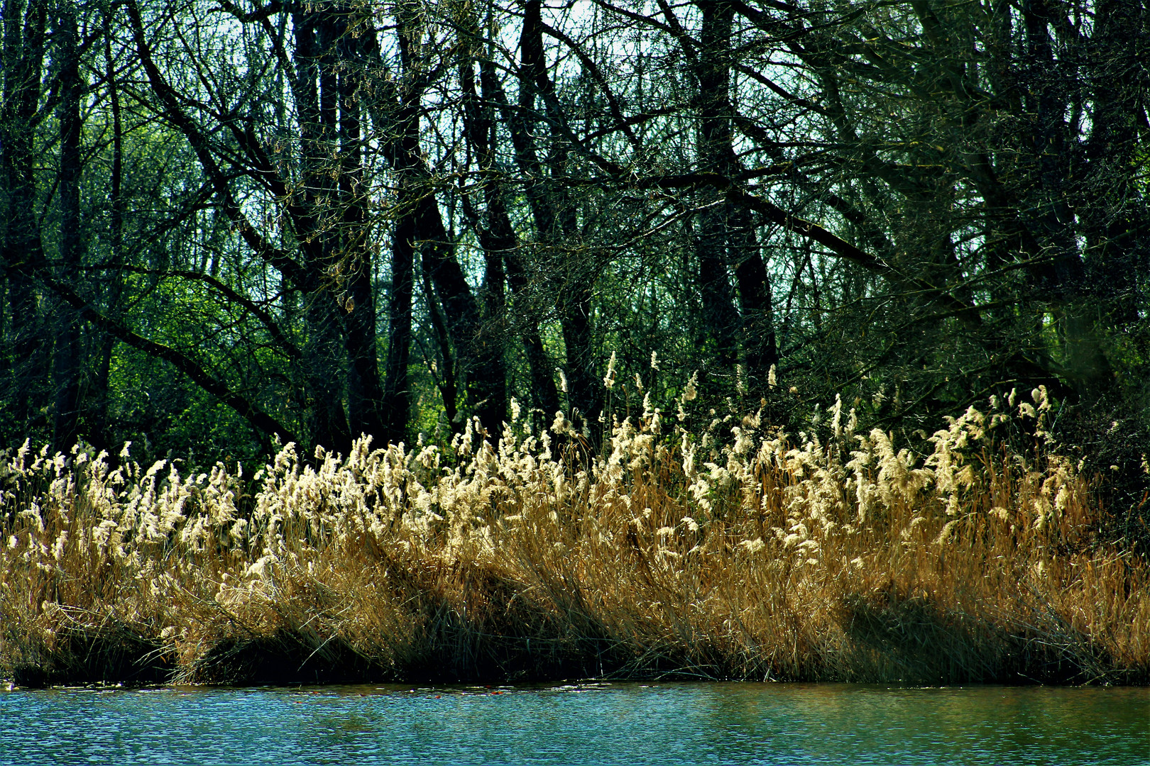 März Impressionen in der Natur