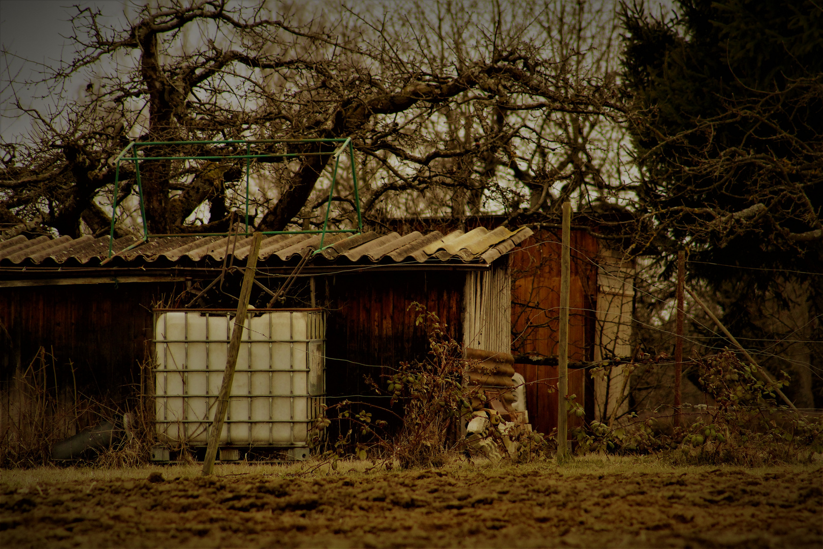 März Impressionen in der Natur