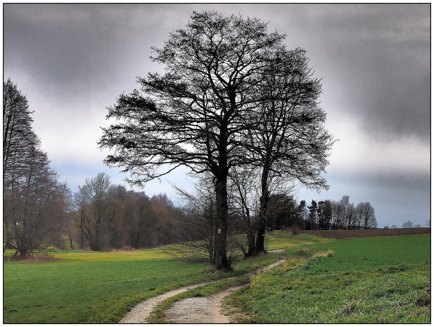 März in der Großen Au