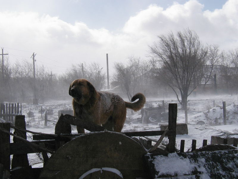 März in Karaganda