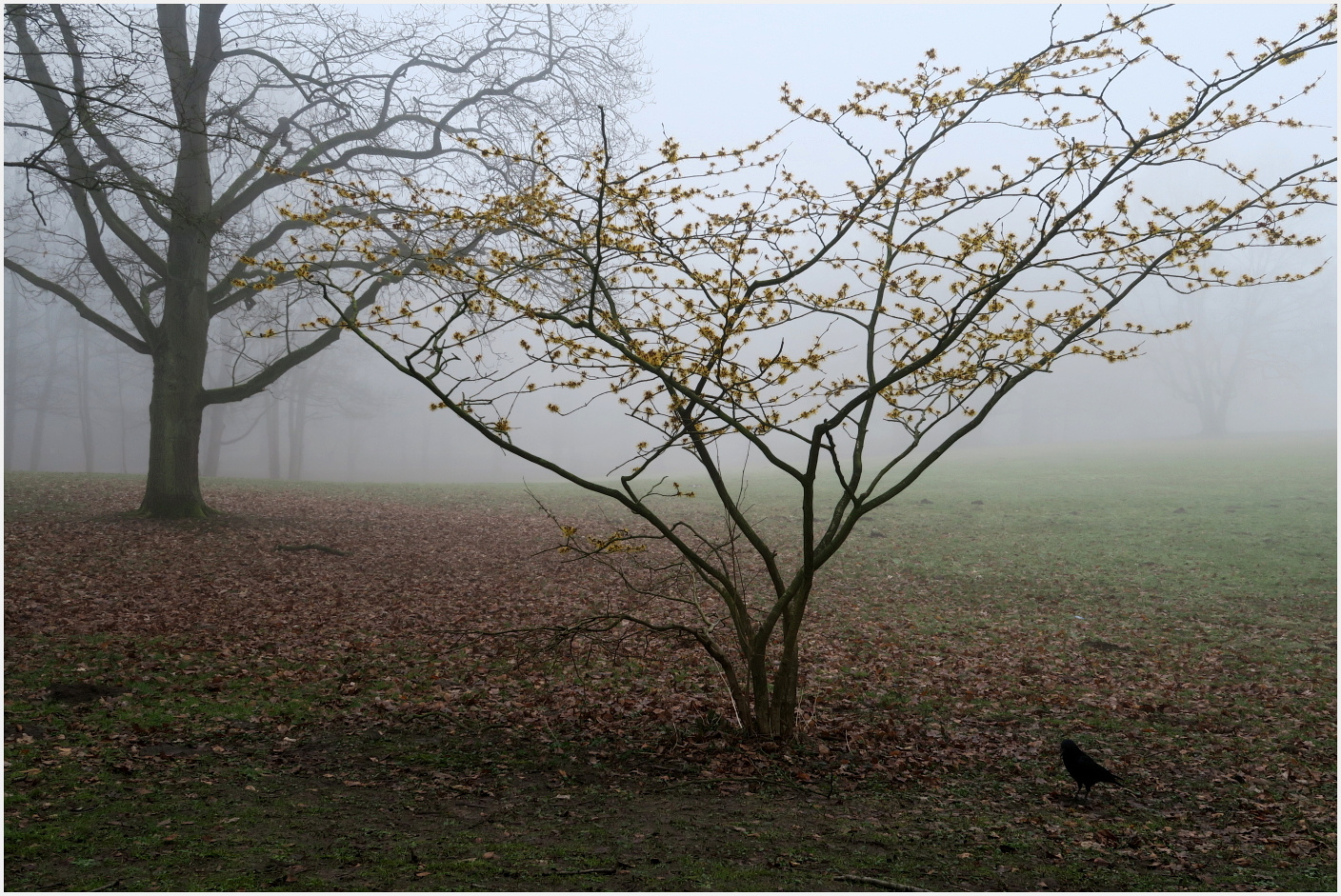 März Melancholie