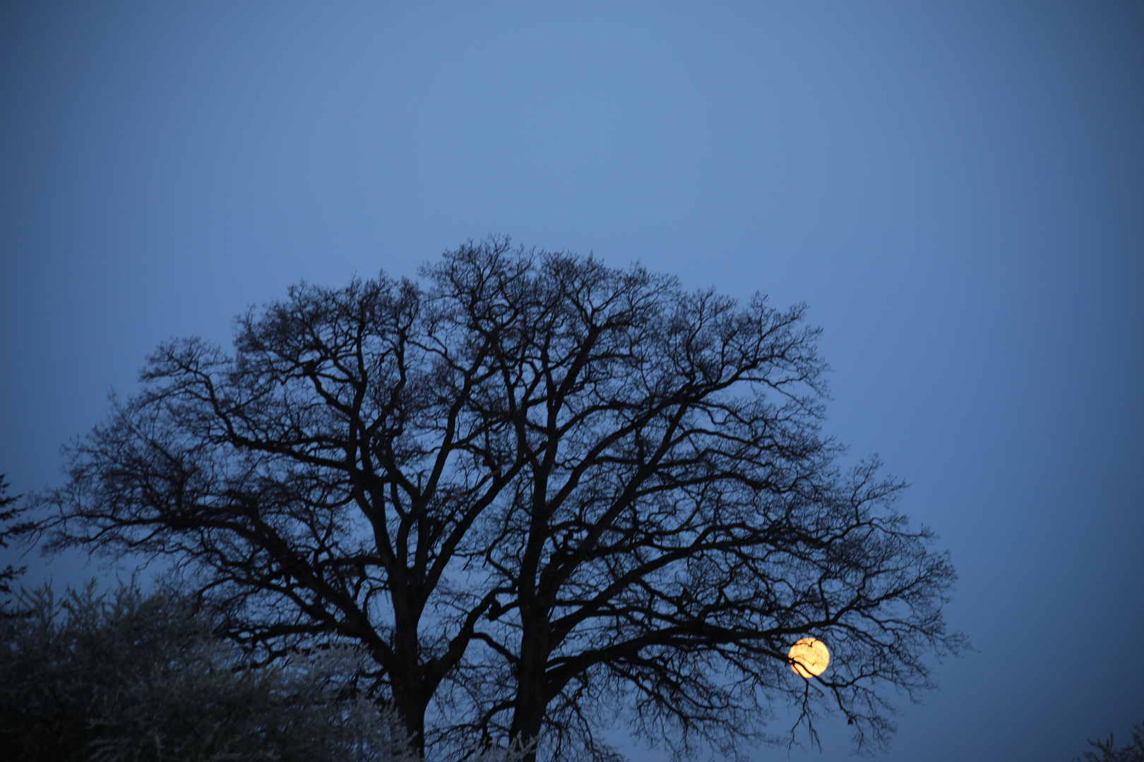 März-Mond vor der Osternacht