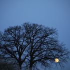 März-Mond vor der Osternacht