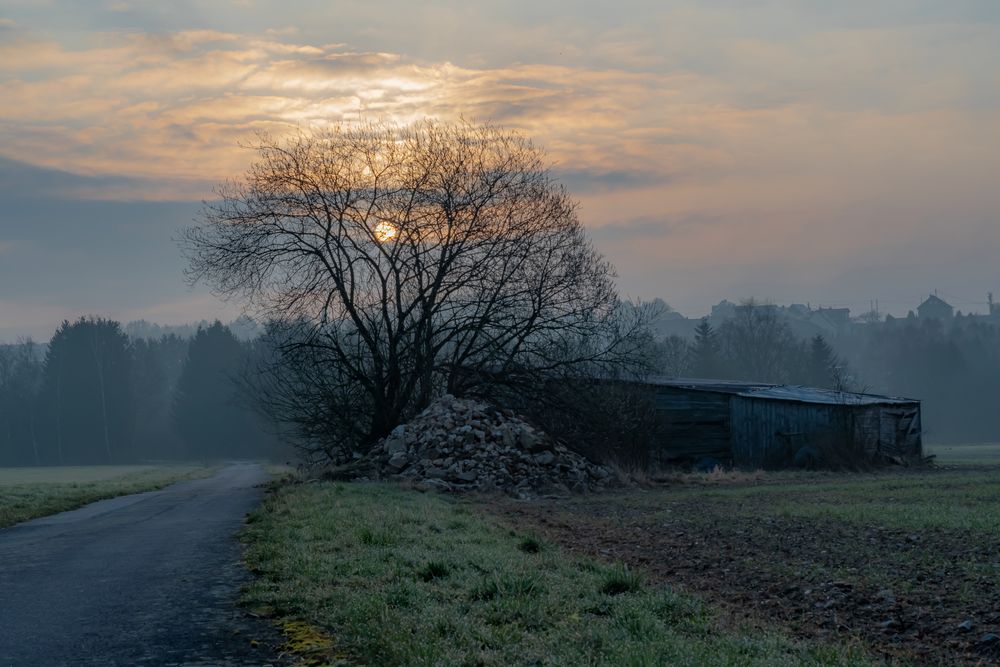 März Morgen