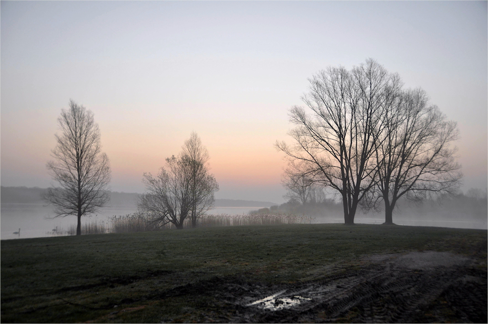 März - Nebel...-2-