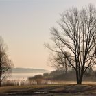 März - Nebel...