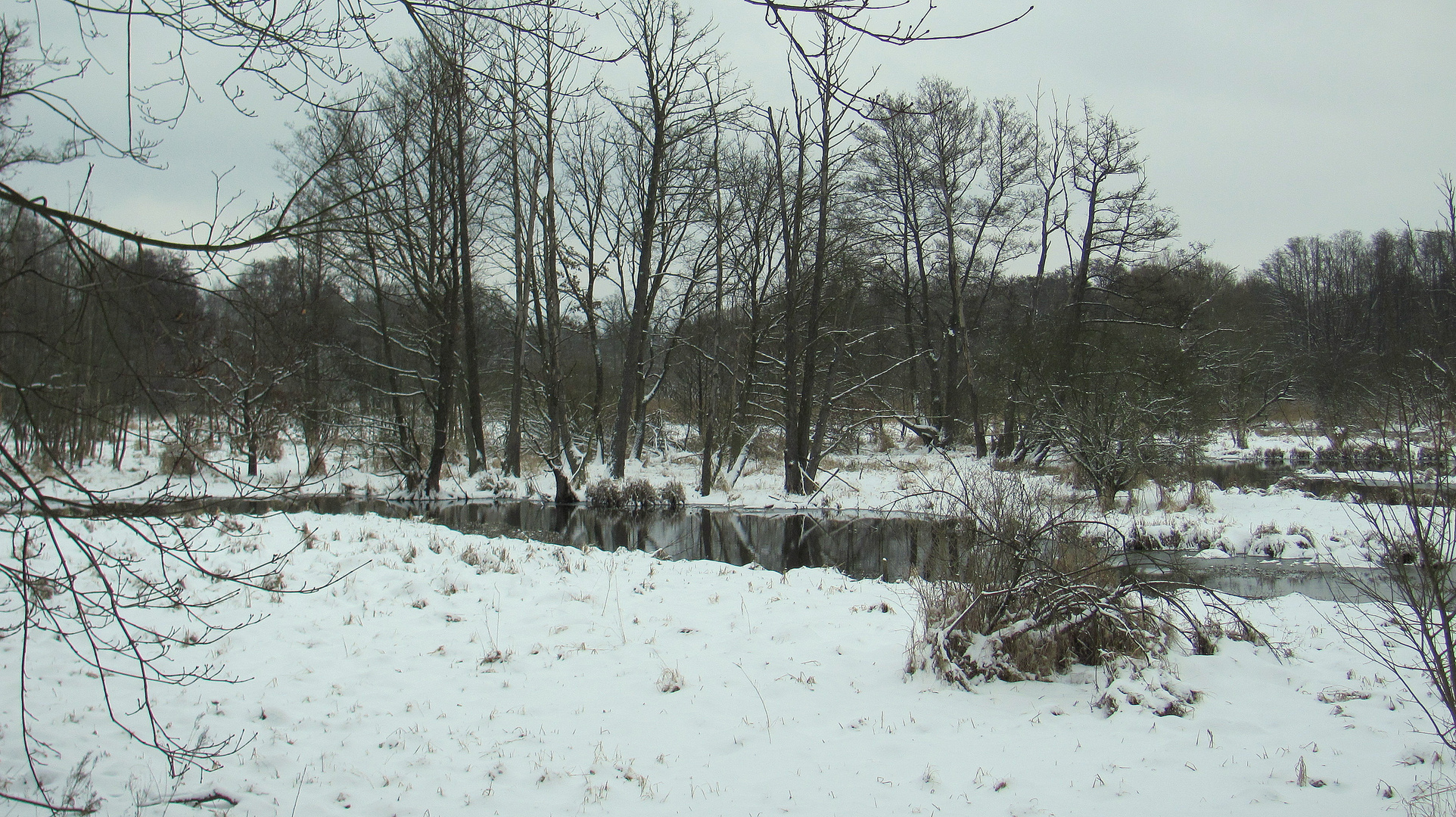 März Winter am Fließ I