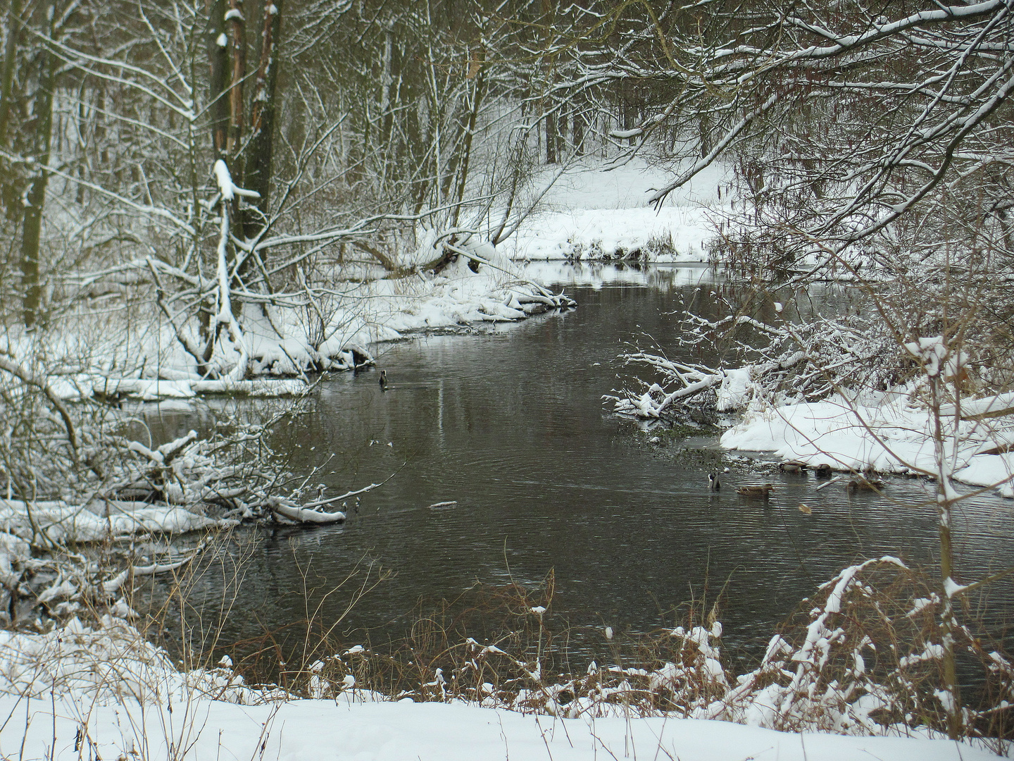 März Winter am Fließ IV