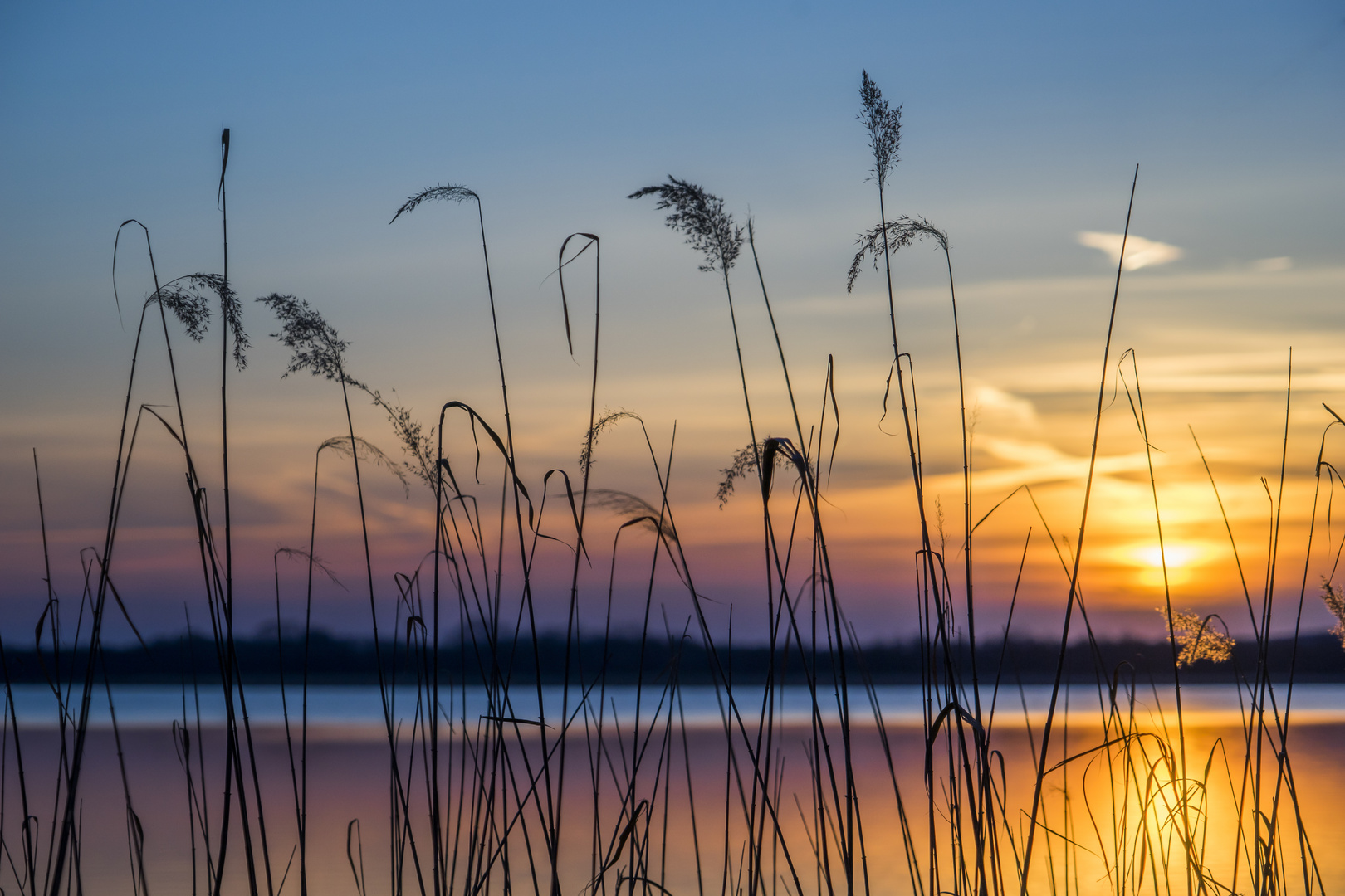 Märzabend am See Nr.3