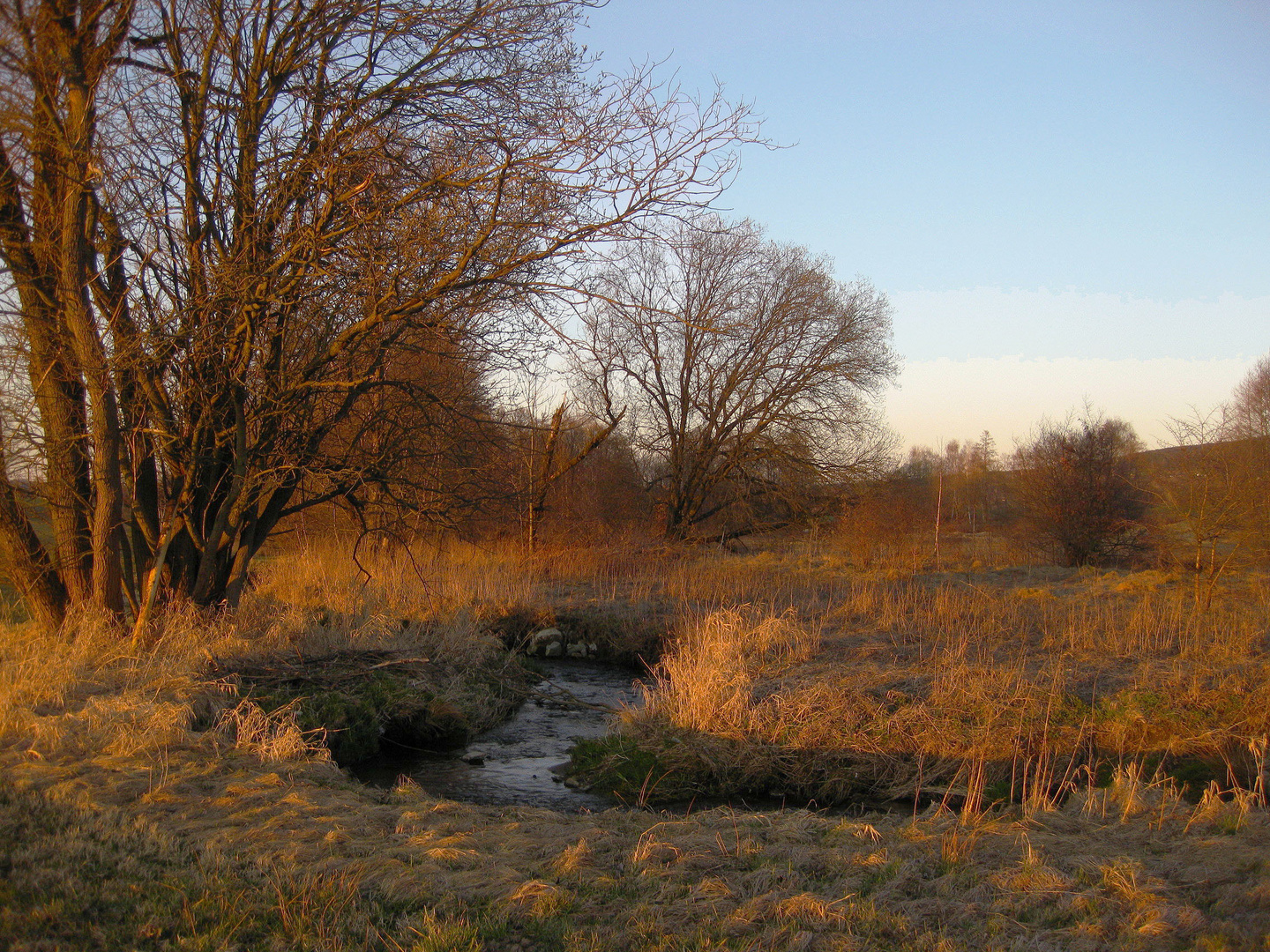 Märzabend an der Saale