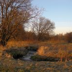 Märzabend an der Saale