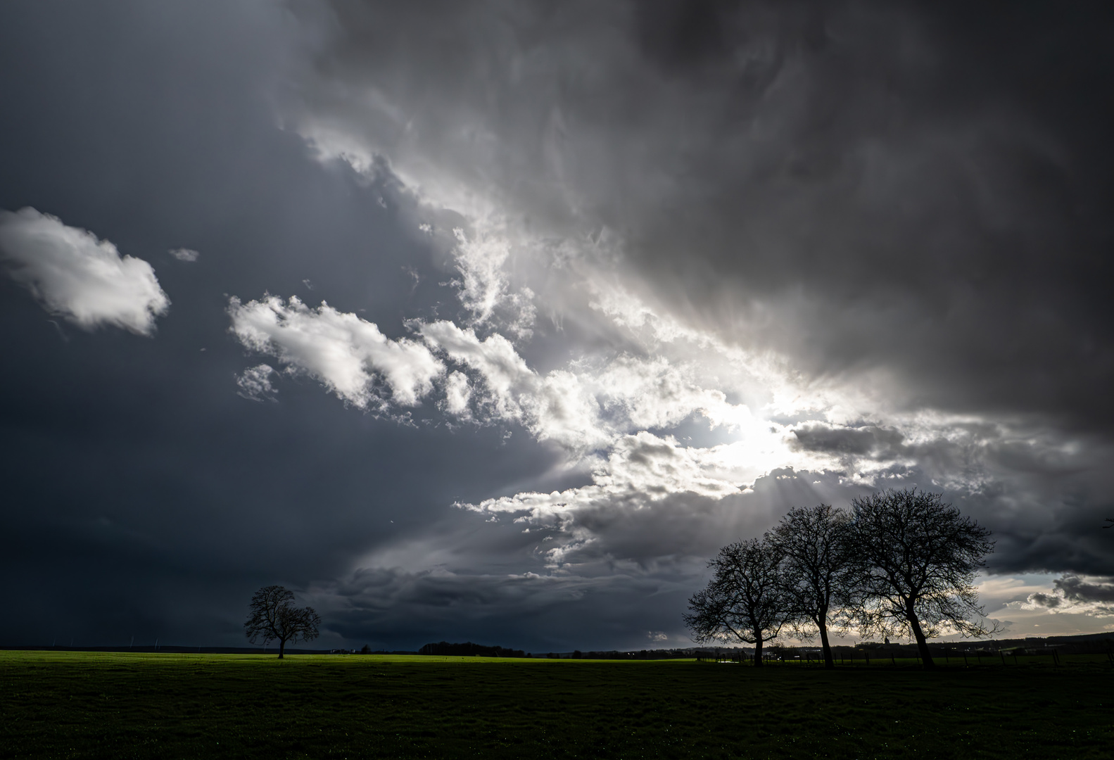 Märzbiesen Sonntag mit Sonne 24.3.2024 (f)